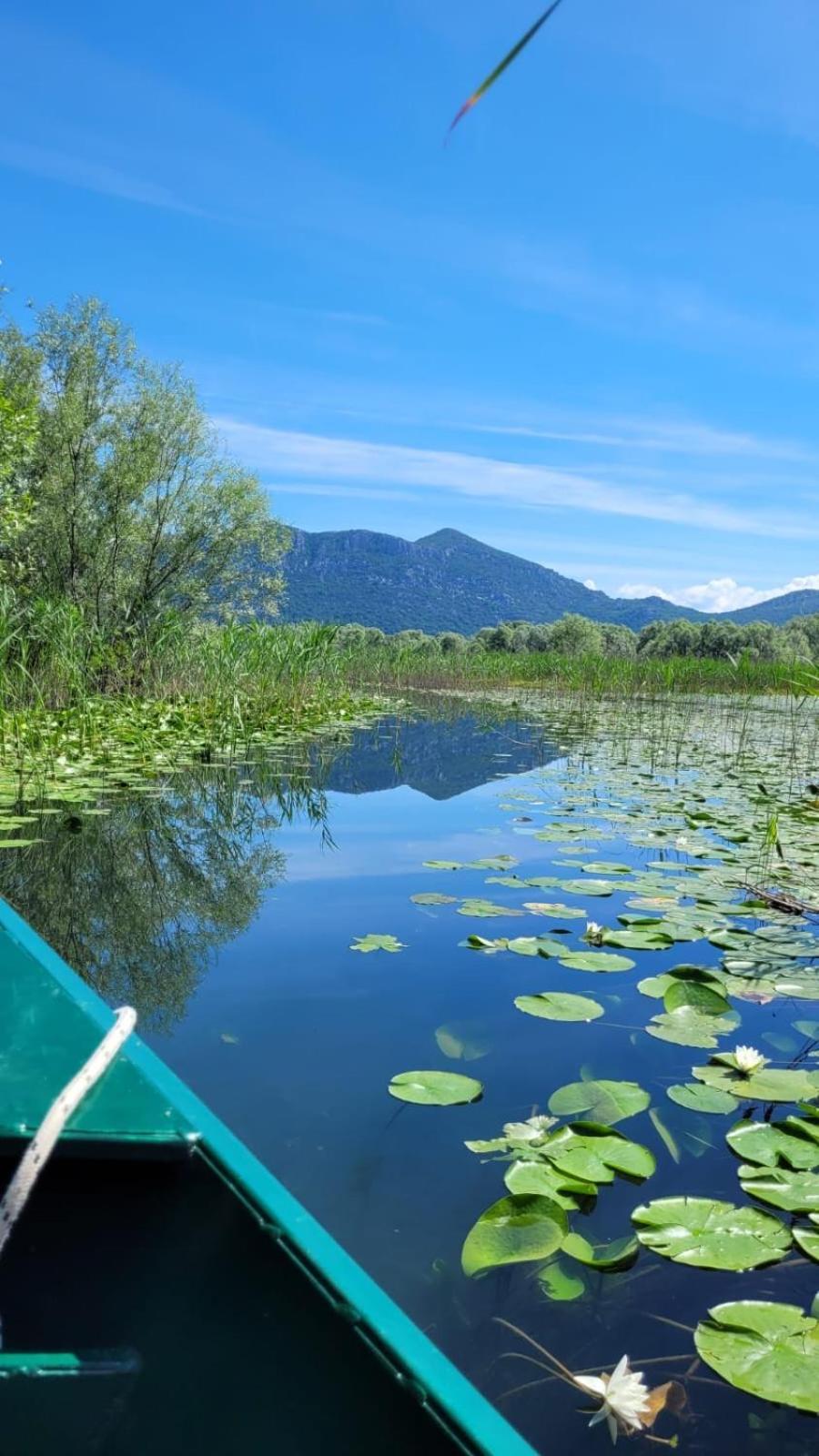 Skadar Family