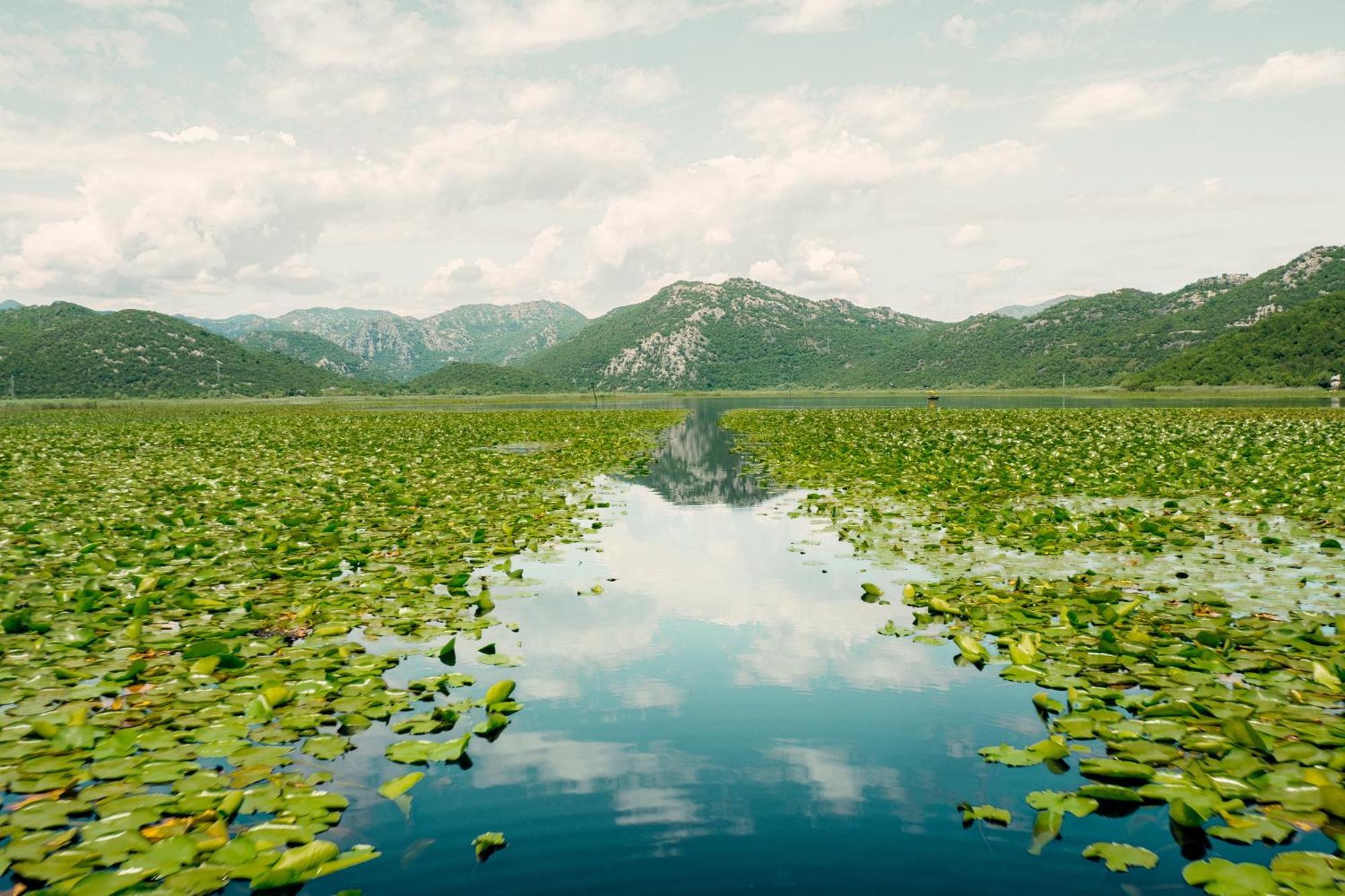 Skadar Family Affittacamere