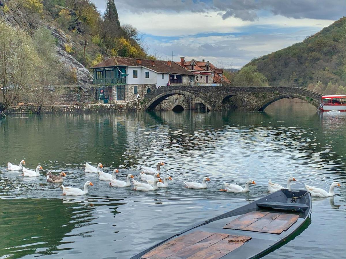 Guest house Skadar Family
